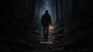 Synkro - Bozuk Pusula 
