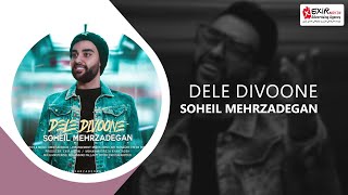 Soheil Mehrzadegan - Dele Divoone