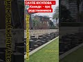 По дороге на кладбище..? #выздоровление #здоровыйдух #здороваяэнергия #ракпобедим