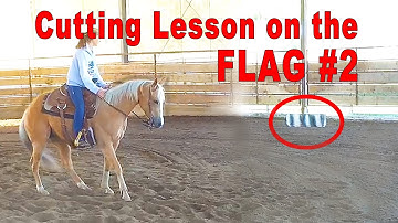 Cutting and Cow Horse Lesson On The Flag #2 - How To Ride, Train And Show A Cutting Or Cow Horse
