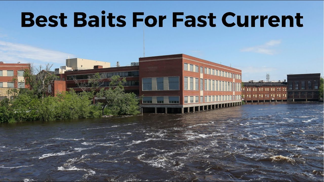The best 5 baits for fishing Rapids!