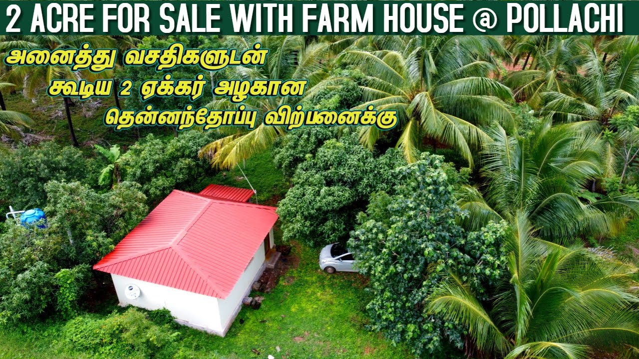 2 Acre Coconut Farm with Farm House For sale Pollachi 2 ஏக்கர் அழகான