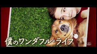 『僕のワンダフル・ライフ』 TVスポット15秒