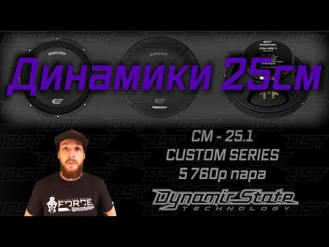 Неужели таки большие динамики ставят в двери? Обзор 25см 10" Dynamic State