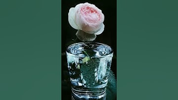 قرآن كريم🌷صوت جميل جدا🌹(نَبِّئْ عِبَادِي أَنِّي أَنَا الْغَفُورُ الرَّحِيمُ)🌹راحة نفسية 🌹حالة واتساب