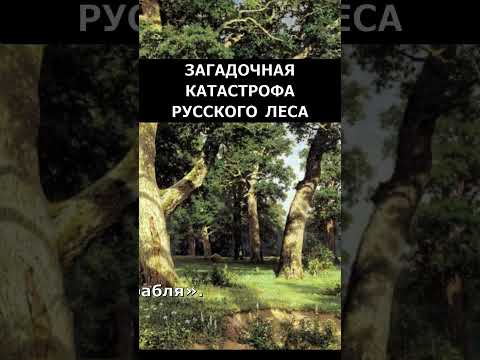 Куда исчезли древние