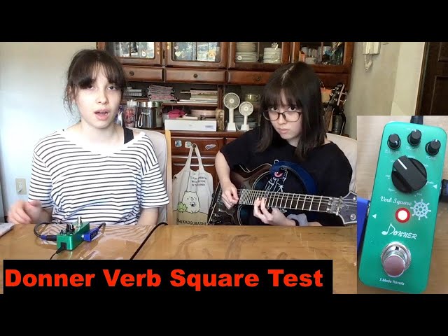 Donner Reverb Effector Verb Square Test! リバーブ エフェクター 7