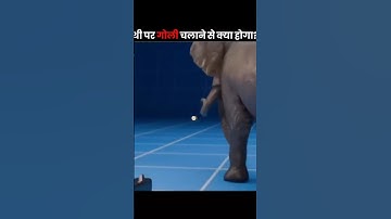 What if you shot an elephant 😱 #shorts #facts #fact