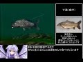 【ゆっくり解説】ぬし釣り64 全魚種RTA 2/7【3:59:20】