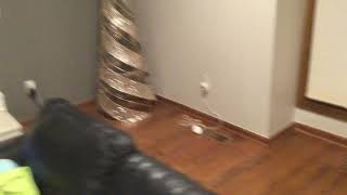 *RARE* footage of flying frog caught on camera