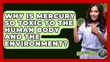 Why Is Mercury So Toxic To The Human Body And The Environment? - Earth Science Answers
