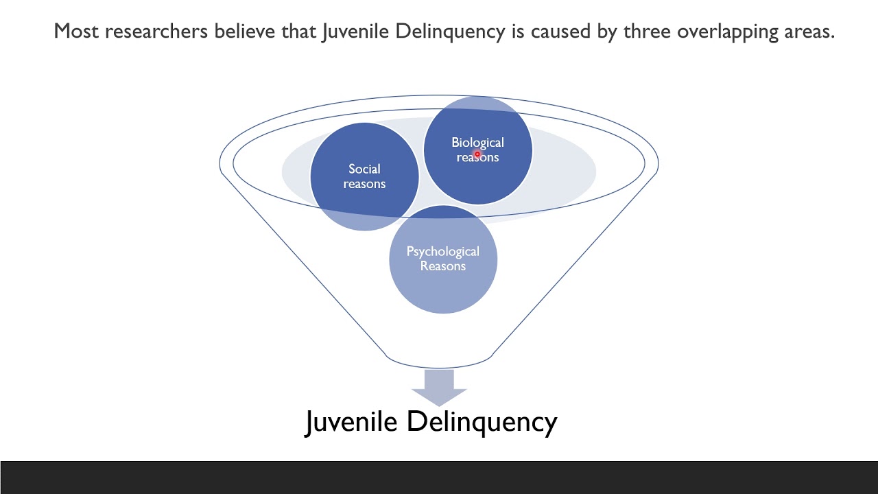 biological theories of juvenile delinquency