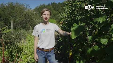 How to Perform Soil Health Field Tests: Intro (Start Here!)