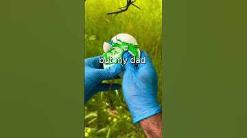 If You Could Relive One Moment Of Your Life, What Would It Be??