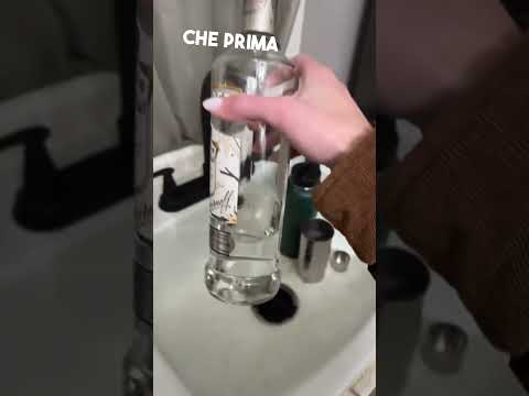 Video Cane ubriaco...