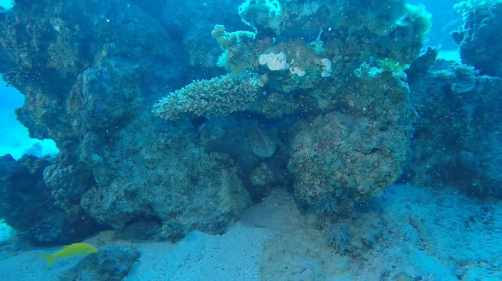 #underwaterjeann...  #gopro#dahab#sin...