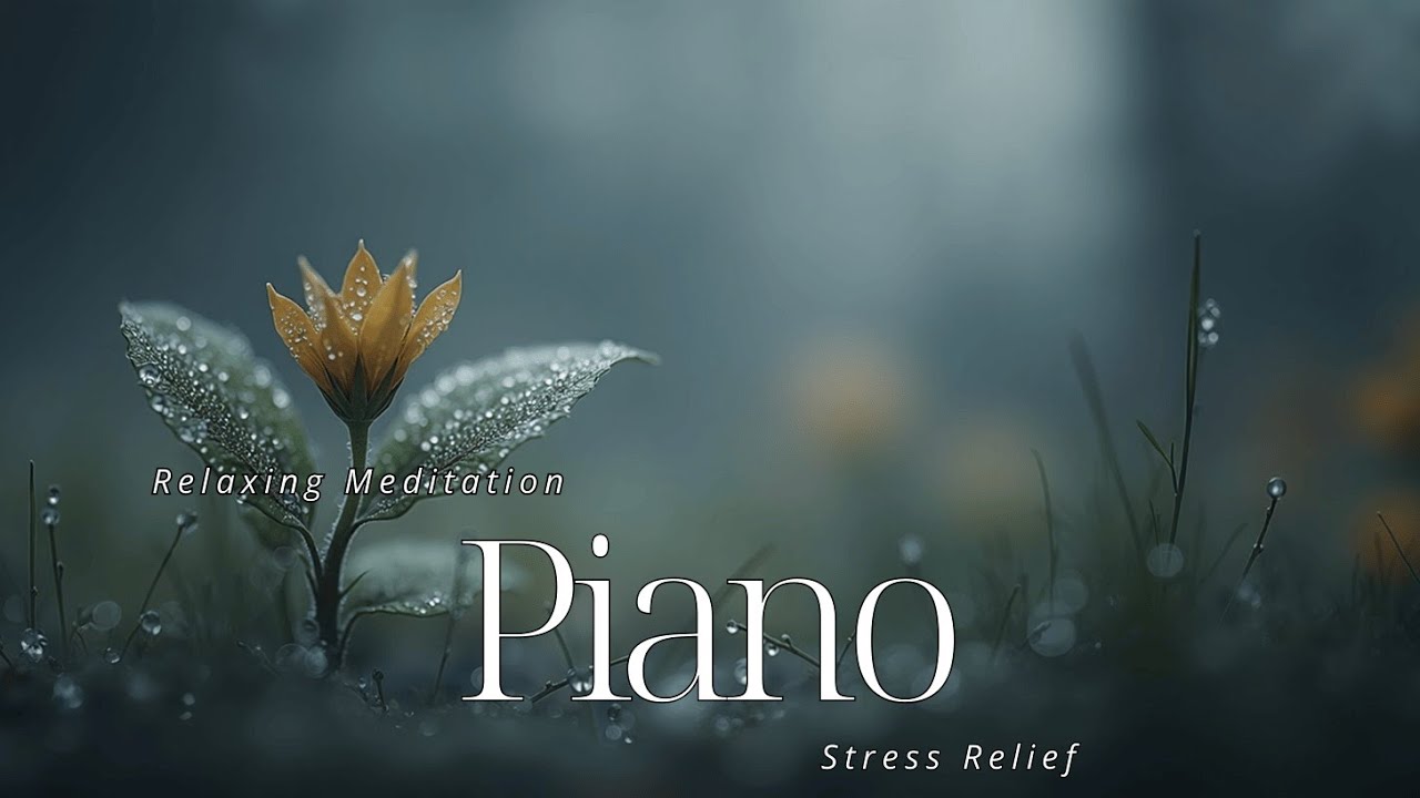 Soothing Piano for Deep Sleep & Stress Relief | Relaxing Meditation ...