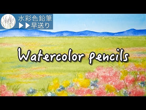 野の花を描く①から12 野の花を描く①から12