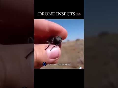 Unbelievable Drone Insects Caught On Camera #shorts #Caughtoncamera