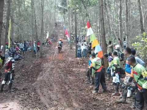 Tanjakan 1000 akasia 