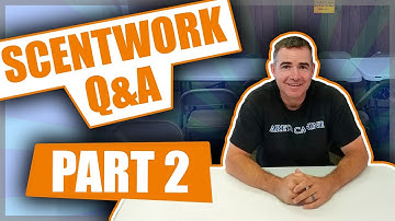 Scentwork Q&A Part 2 with Joey Leigh