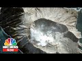 A Minute-By-Minute Look At The New Zealand Volcano Eruption | NBC News NOW