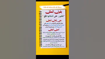 هل تعرف أصل ومتى يقال المثل القائل الطيور على أشكالها تقع 