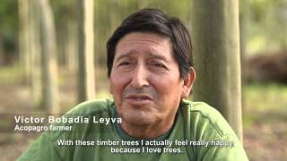 Alto Huayabamba - Agroforestry Project In Peru Eng