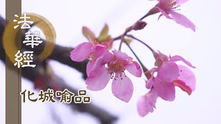 靜思妙蓮華】法華經化城喻品- 出於三界漸近佛慧- 20220207 第1084集