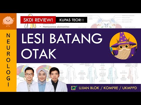 [UKMPPD - SKDI REVIEW] Lesi Batang Otak -  Bisa membedakannya dari gejala? | Sistem Saraf #43