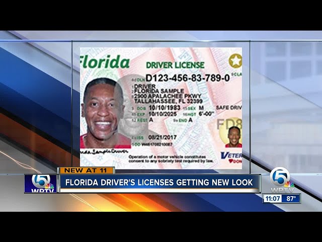 Florida driver's licenses get new look 