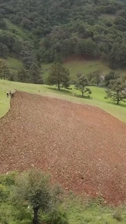 Así se siembra en la Sierra de Las Chinacas Chihuahua ruta siembra