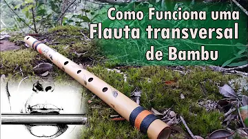 Como se produz som com os instrumentos musicais?