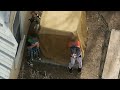 Young Kids Point Loaded Gun at Police