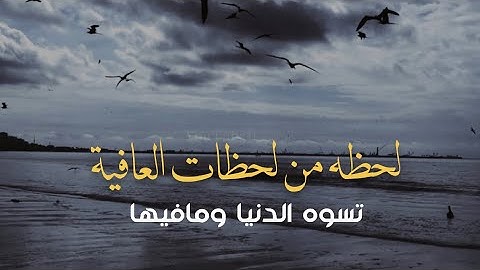 لحظة من لحظات العافية تسوة الدنيا ⁉️ كلام مؤثر  د.احمد الوائلي ||