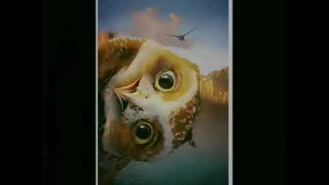 How to make text gif and convert texts into video