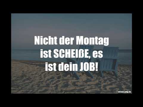 Lustige Sprüche Video Volume 894 Youtube