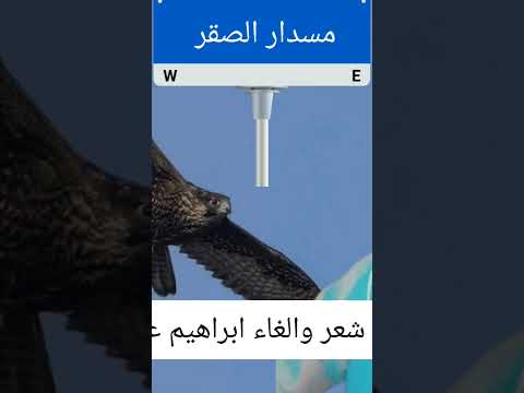 الشاعر ابراهيم عوض الله الرفاعي