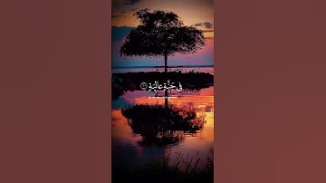 في نور الفجر.. تلاوة تهدي القلوب وتشرح الصدر ✨🌅