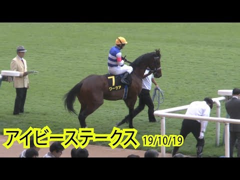 【ルメール】ワーケアの返し馬