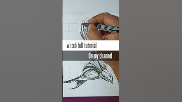 How to draw bird with pen using cross hatching technique #shorts