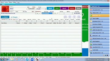 Sale entry in Speed Plus 8.0 Software
