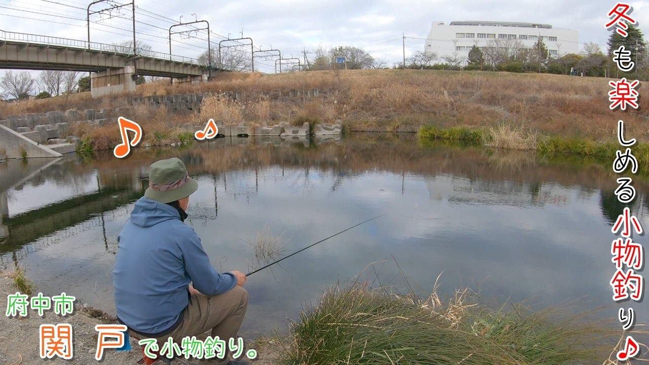 冬も楽しめる小物釣り♪ 釣りはいつだって楽しい～♪ 府中市 関戸で小物釣り。