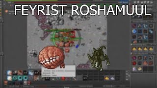 Knight | Feyrish Roshamuul | Tibia