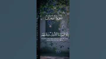 #اكسبلور #المصحف #تلاوات #لايك #تلاوات_خاشعة #حالات_واتس #تيك_توك #راحة_نفسية #قرآن #ترند #quranic