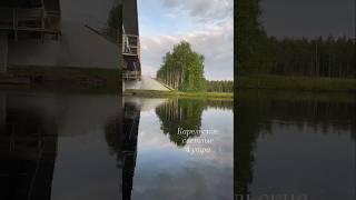 #белыеночи #Карелия #природа #karelia #nature #river #summer #лето #река #свобода #утро #наприроде