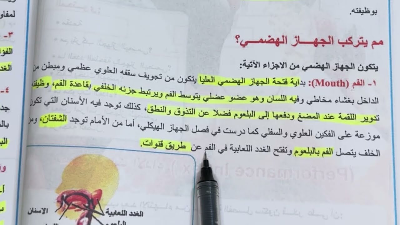 احياء الثالث متوسط الجهاز الهضمي شرح وملخص ص 42  المحاضرة / 1 