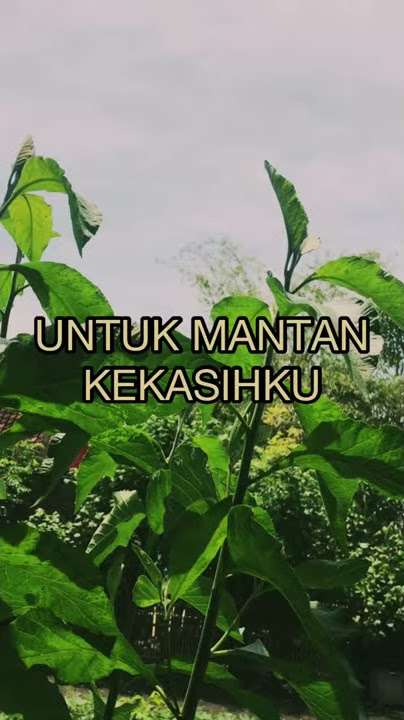 UNTUK MANTAN KEKASIHKU - Story WA 30 detik - Kata Berkisah