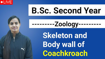 B.Sc. Second Year | Paper-2 Unit-1 Class-1 | Zoology | #sambhavinstitute #bsc #ru #pdusu