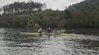 Mgd2X Technisch 29-1